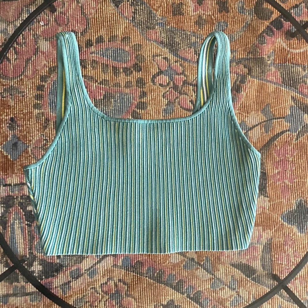 Aritzia | Babaton SCULPT KNIT TANK
